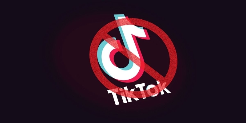 India prohíbe TikTok por razones políticas India prohíbe TikTok por razones políticas
