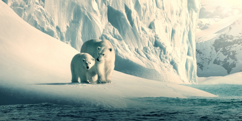 Netflix libera documentales con fines educativos